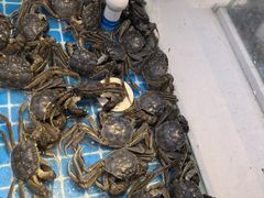 -集品鲜湾·蒸汽海鲜自助料理(青岛银座和谐广场店)