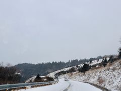 -大九湖