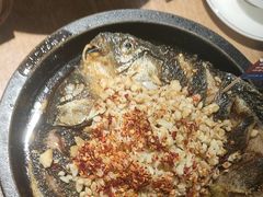 -聚鑫朋酸菜肥肠(文艺路口店)