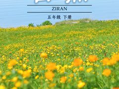 -赛里木湖风景名胜区