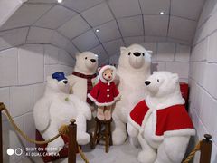 -济州岛泰迪熊博物馆