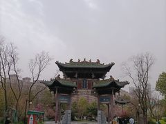 -武汉园博园(武汉自然博物馆)