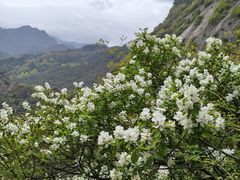 -秦岭终南山世界地质公园翠华山景区