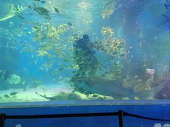 -常州海昌海洋探索馆