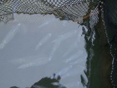 -海上驿站渔家菜馆