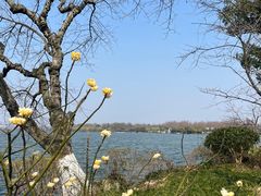 -浙江西子宾馆·瑶园咖啡厅