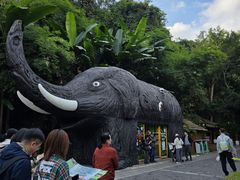 -野象谷景区
