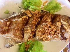 黑胡椒烤鱼-自然餐厅(Phuket)