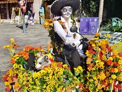 -大连海昌发现王国主题公园