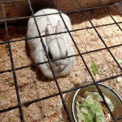 -酷嗒动物文化乐园(cutezoo西溪乐天城店)