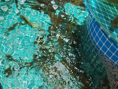 -蓝珊甄选海鲜自助·火锅大排档(近阿那亚店)
