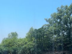 -微山湖红荷湿地景区