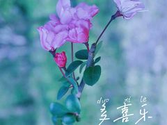 -黄兴公园
