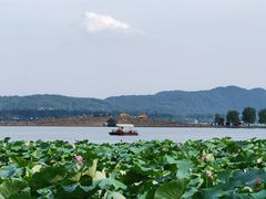 -西湖游船