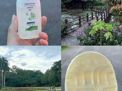 -中国科学院西双版纳热带植物园