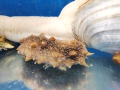 -百富源·海鲜辽菜(和平北大街店)