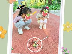 -晓港公园