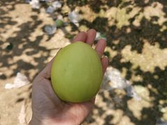 -迪茵湖田家舍生态农场