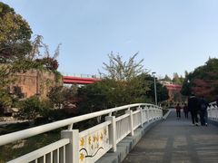 -青枫公园