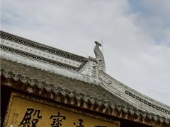 -上海东林寺(金山区)