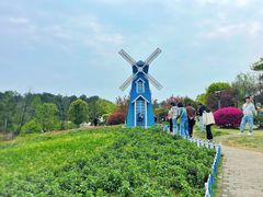 -铁山坪森林公园