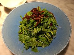 翡翠丝瓜尖-雀蓝川菜(奥体广场店)