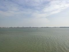 -大湾区中央湿地公园