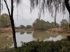 -西安浐灞国家湿地公园