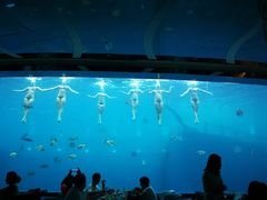 -瑞德姆美人鱼海底演艺主题餐厅(亚龙湾店)