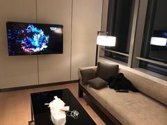 -长沙尼依格罗酒店
