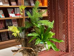 -二酉书店TOYOU BOOKS