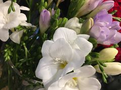 -杭州街角花屋花店(闻堰店)