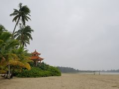 景点-东郊椰林