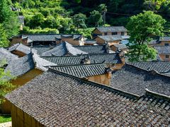 -杨家堂村