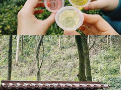 -重庆彩云湖湿地公园