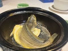 清煲黄花鱼-百味馆·粤菜·湛江菜(后海花园店)