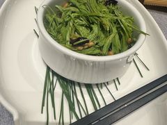 巧拌云南松针芽-悦融琥珀·京鲁菜(西单店)