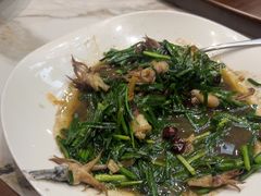 -和源祥·日照菜扛把子(万平口一店)