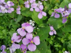 -白塘生态植物园