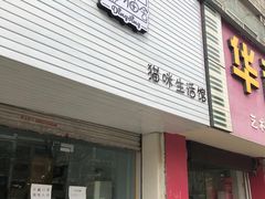 -叮叮猫咪生活馆