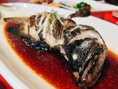 -碧丽宫大酒店(召稼楼店)