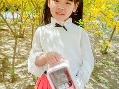 -大兴滨河森林公园