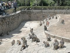 -哈尔滨北方森林动物园