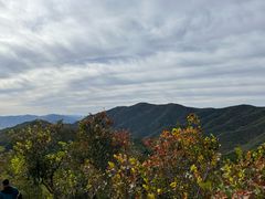 -香山公园