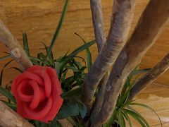-益健·足疗汗蒸SPA(芙蓉广场店)
