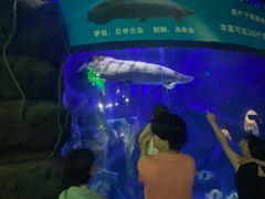 -江和美海洋公园