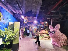 -正佳雨林生态植物园