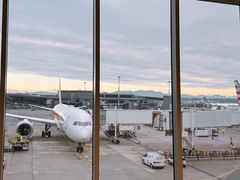 -米兰-马尔彭萨机场