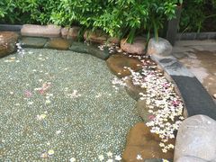 -厦门日月谷温泉渡假村