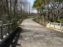 -上海海湾国家森林公园